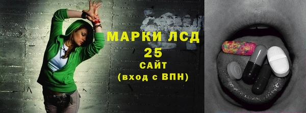 гашик Богородск