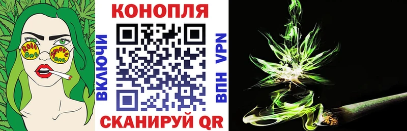 Каннабис конопля  Пестово 